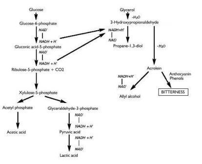supplimentary-wynboer-december-2001-the-occurrence-of-bitterness-in-wine-an-overview