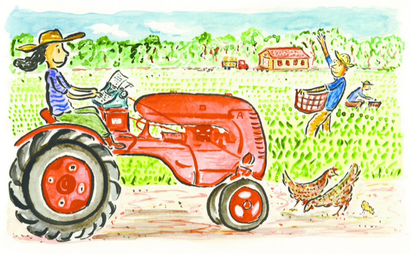 vine_food_sectake_writer_2016-2