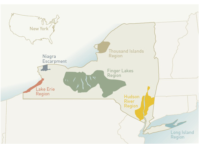 6a00d8341bf71853ef0163029fb6d5970d