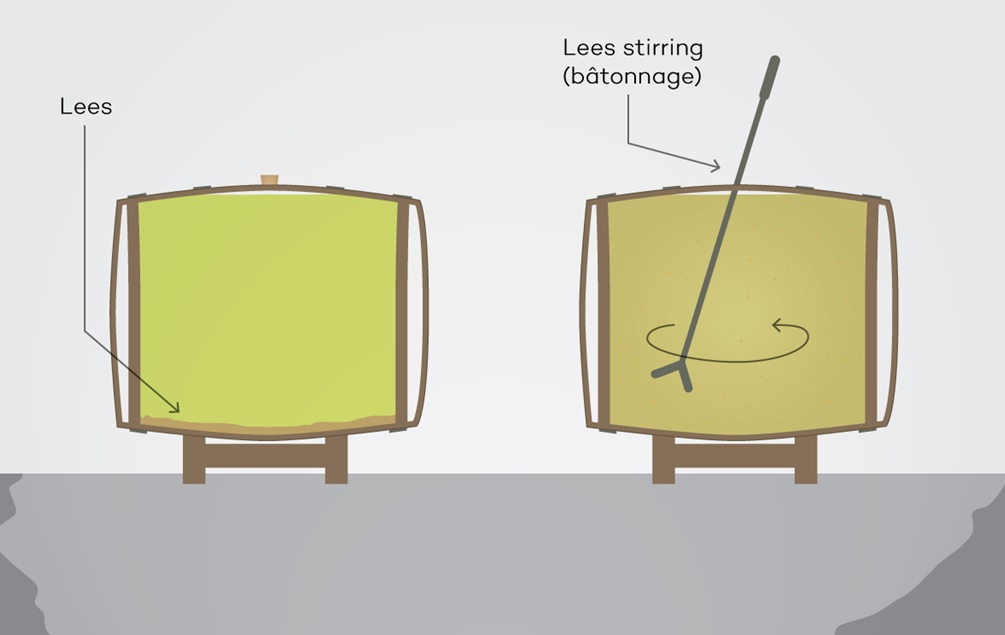 lees-aging-sur-lie-example-by-wine-folly